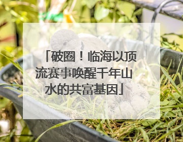 破圈！临海以顶流赛事唤醒千年山水的共富基因