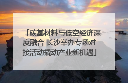 碳基材料与低空经济深度融合 长沙举办专场对接活动撬动产业新机遇