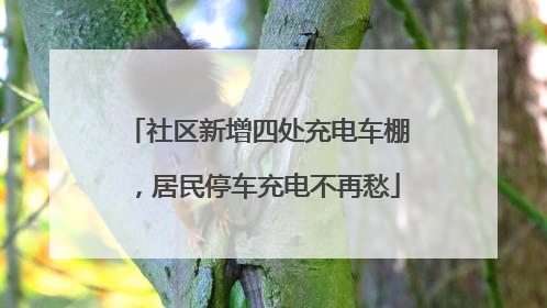 社区新增四处充电车棚，居民停车充电不再愁