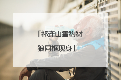 祁连山雪豹豺狼同框现身