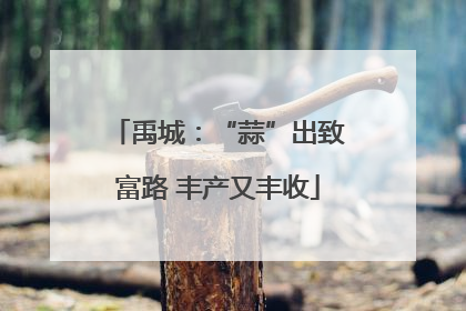 禹城：“蒜”出致富路 丰产又丰收