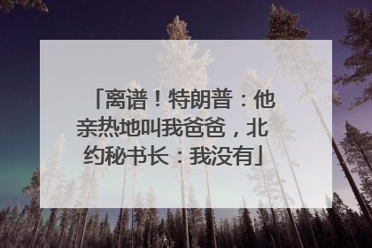 离谱！特朗普：他亲热地叫我爸爸，北约秘书长：我没有