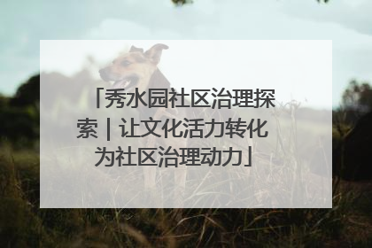 秀水园社区治理探索｜让文化活力转化为社区治理动力