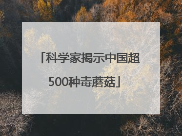 科学家揭示中国超500种毒蘑菇