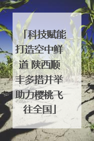 科技赋能打造空中鲜道 陕西顺丰多措并举助力樱桃飞往全国