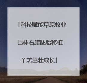 科技赋能草原牧业 巴林右旗胚胎移植羊羔茁壮成长