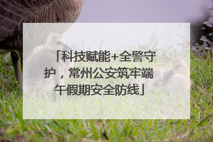 科技赋能+全警守护，常州公安筑牢端午假期安全防线