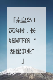 秦皇岛王汉沟村：长城脚下的“甜蜜事业”