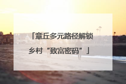 章丘多元路径解锁乡村“致富密码”