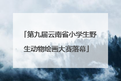 第九届云南省小学生野生动物绘画大赛落幕