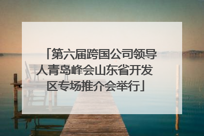 第六届跨国公司领导人青岛峰会山东省开发区专场推介会举行