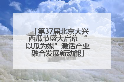 第37届北京大兴西瓜节盛大启幕 “以瓜为媒”激活产业融合发展新动能