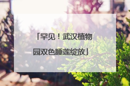 罕见！武汉植物园双色睡莲绽放