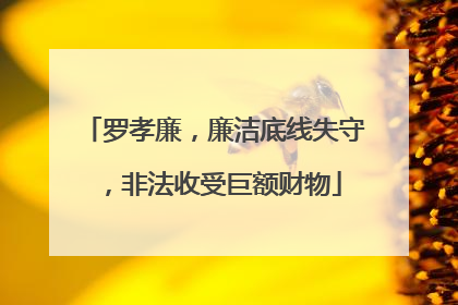 罗孝廉，廉洁底线失守，非法收受巨额财物