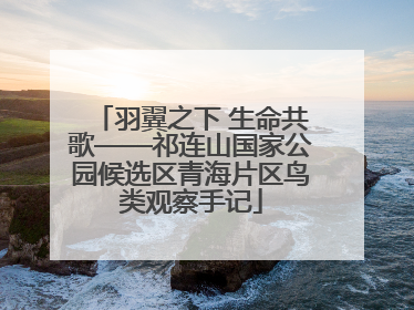 羽翼之下 生命共歌——祁连山国家公园候选区青海片区鸟类观察手记