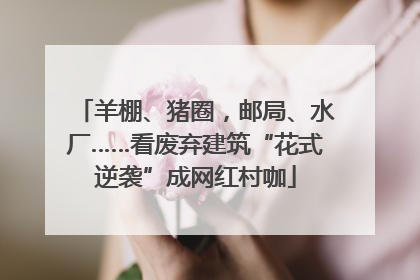 羊棚、猪圈，邮局、水厂……看废弃建筑“花式逆袭”成网红村咖