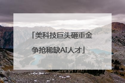 美科技巨头砸重金争抢稀缺AI人才