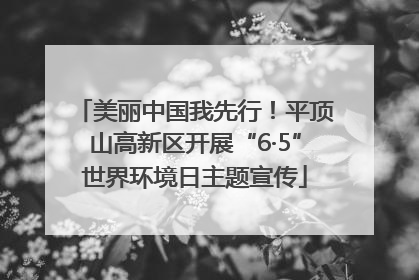 美丽中国我先行！平顶山高新区开展“6·5”世界环境日主题宣传