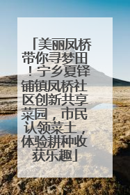 美丽凤桥带你寻梦田！宁乡夏铎铺镇凤桥社区创新共享菜园，市民认领菜土，体验耕种收获乐趣