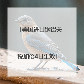 美国进口钢铝关税加倍4日生效