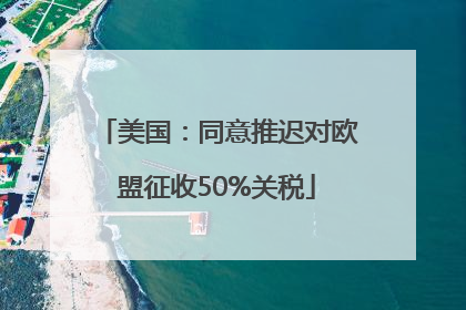 美国:同意推迟对欧盟征收50%关税