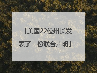 美国22位州长发表了一份联合声明