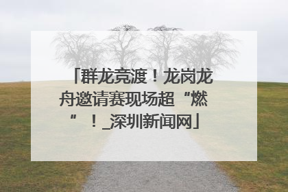 群龙竞渡！龙岗龙舟邀请赛现场超“燃”！_深圳新闻网
