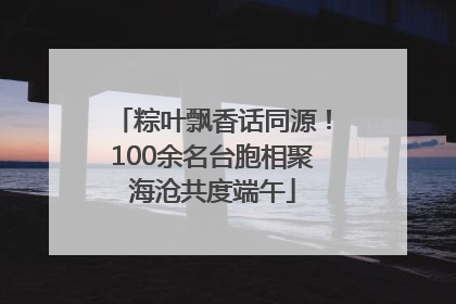 粽叶飘香话同源！100余名台胞相聚海沧共度端午