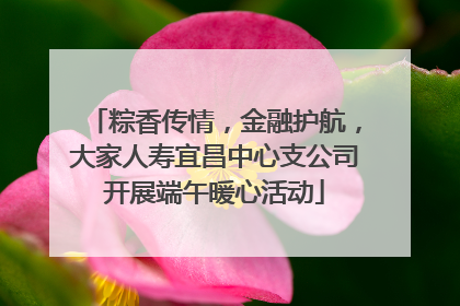 粽香传情，金融护航，大家人寿宜昌中心支公司开展端午暖心活动