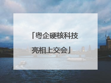 粤企硬核科技亮相上交会