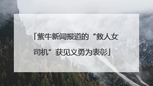 紫牛新闻报道的“救人女司机”获见义勇为表彰