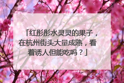 红彤彤水灵灵的果子，在杭州街头大量成熟，看着诱人但能吃吗？