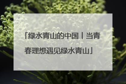 绿水青山的中国丨当青春理想遇见绿水青山