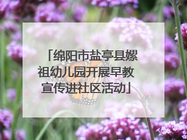 绵阳市盐亭县嫘祖幼儿园开展早教宣传进社区活动