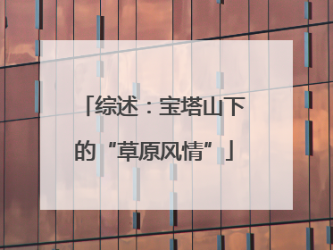 综述：宝塔山下的“草原风情”