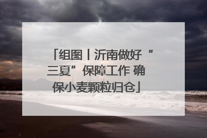 组图丨沂南做好“三夏”保障工作 确保小麦颗粒归仓