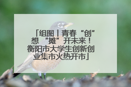 组图丨青春“创”想 “摊”开未来！衡阳市大学生创新创业集市火热开市