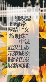 细织湿地绿带 厚结“文旅明珠”——中法武汉生态示范城挖掘绿色发展新动能