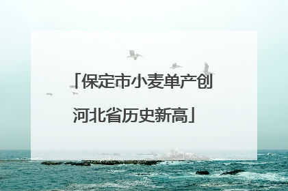 保定市小麦单产创河北省历史新高