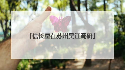 信长星在苏州吴江调研