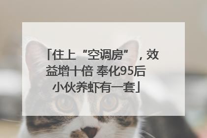 住上“空调房”，效益增十倍 奉化95后小伙养虾有一套