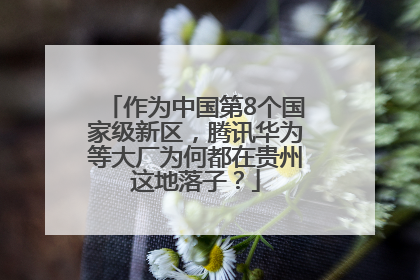 作为中国第8个国家级新区，腾讯华为等大厂为何都在贵州这地落子？
