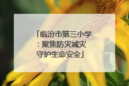 临汾市第三小学：聚焦防灾减灾 守护生命安全