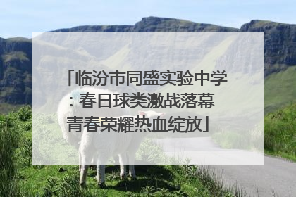 临汾市同盛实验中学：春日球类激战落幕 青春荣耀热血绽放
