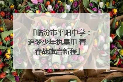 临汾市平阳中学：追梦少年执星甲 青春战旗启新程