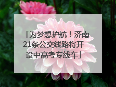 为梦想护航！济南21条公交线路将开设中高考专线车