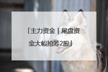 主力资金｜尾盘资金大幅抢筹2股