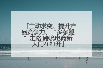 主动求变、提升产品竞争力、“多条腿”走路 跨境电商新大门在打开