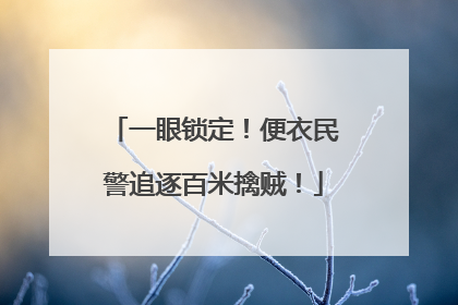 一眼锁定！便衣民警追逐百米擒贼！