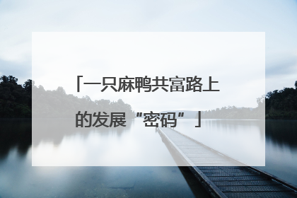 一只麻鸭共富路上的发展“密码”